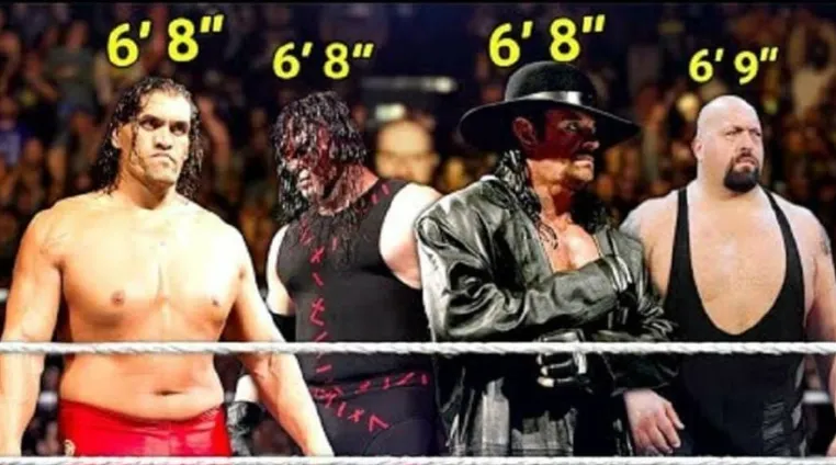 Undertaker Height