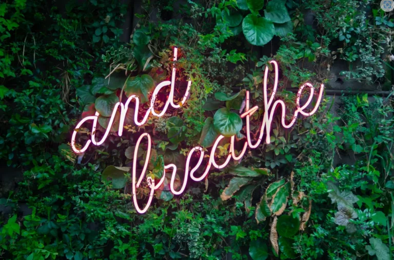 Discover the Unconventional Wellness Routines of 9 Hollywood Stars